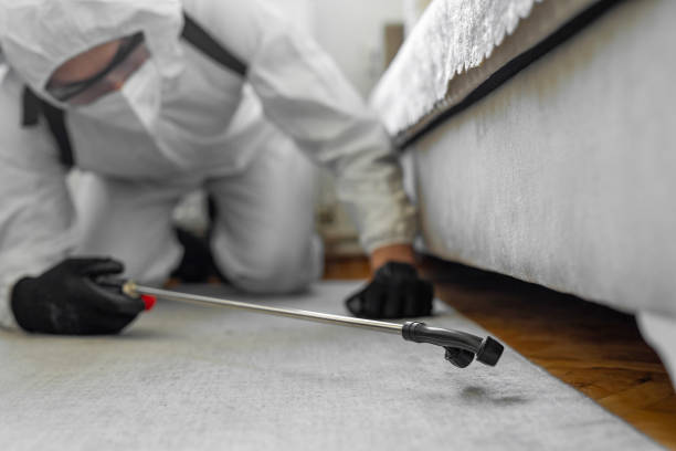Professional Bed Bug Control technician working in Grove, OK
